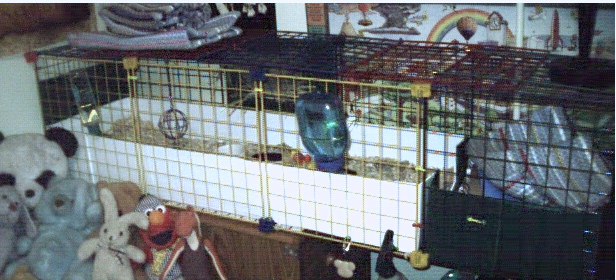 June 2003